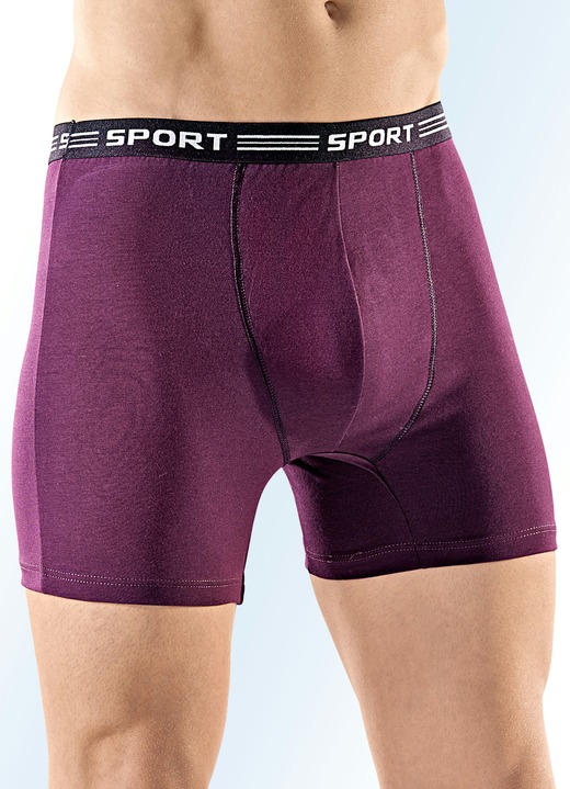 Pants & Boxershorts - Viererpack Pants aus Feinjersey, uni bunt, in Größe 004 bis 010, in Farbe 2X BORDEAUX, 2X SCHWARZ