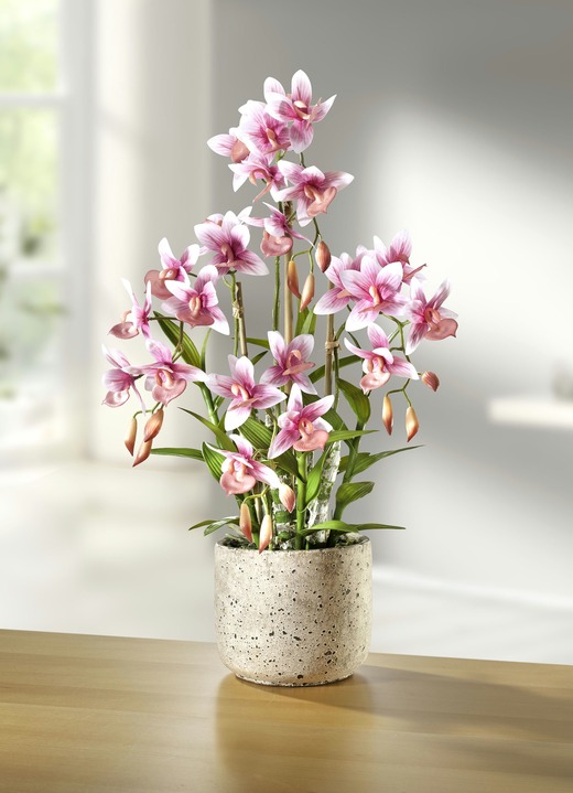 Kunst- & Textilpflanzen - Orchidee im Topf, in Farbe ROSA-GRÜN