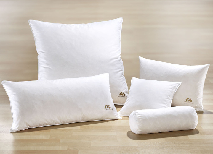 Bettwaren - Kissenserie mit goldfarbener Satin-Biese, in Größe 120 (80/80 cm) bis 124 (Nackenrolle, 15/40 cm), in Farbe WEISS, in Ausführung Qualität III: 60% Daunen, 40% Federn Ansicht 1