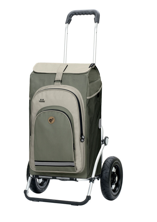 Mobilität - Leichter und leiser Einkaufsroller Royal Shopper, in Farbe GRAU Ansicht 1