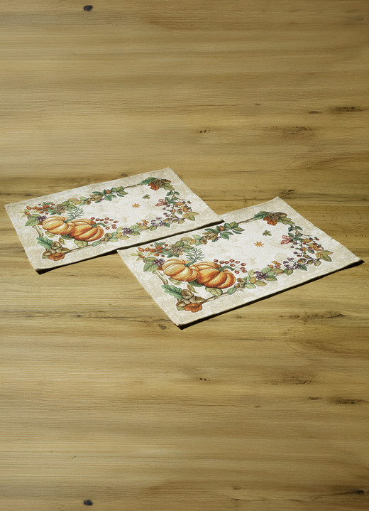 Dekokissen & Hüllen - Tisch- und Raumdekoration, in Größe 100 (2 Platzsets, 33/ 45 cm) bis 404 (Kissenbezug, 45/ 45 cm), in Farbe BUNT Ansicht 1