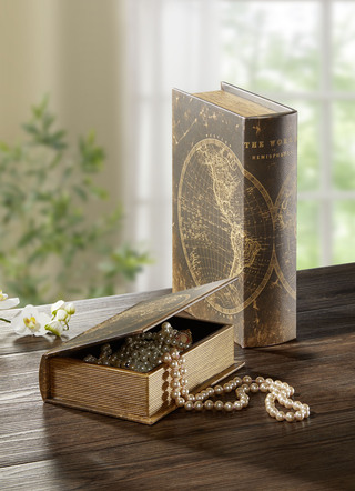 Aufbewahrungsbox Buch, 2er-Set