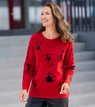 Bewerbung des Bereiches: Pullover