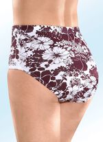 F&uuml;nferpack Slips mit Gummizug im Bund 