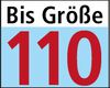 Logo_BisGroesse110