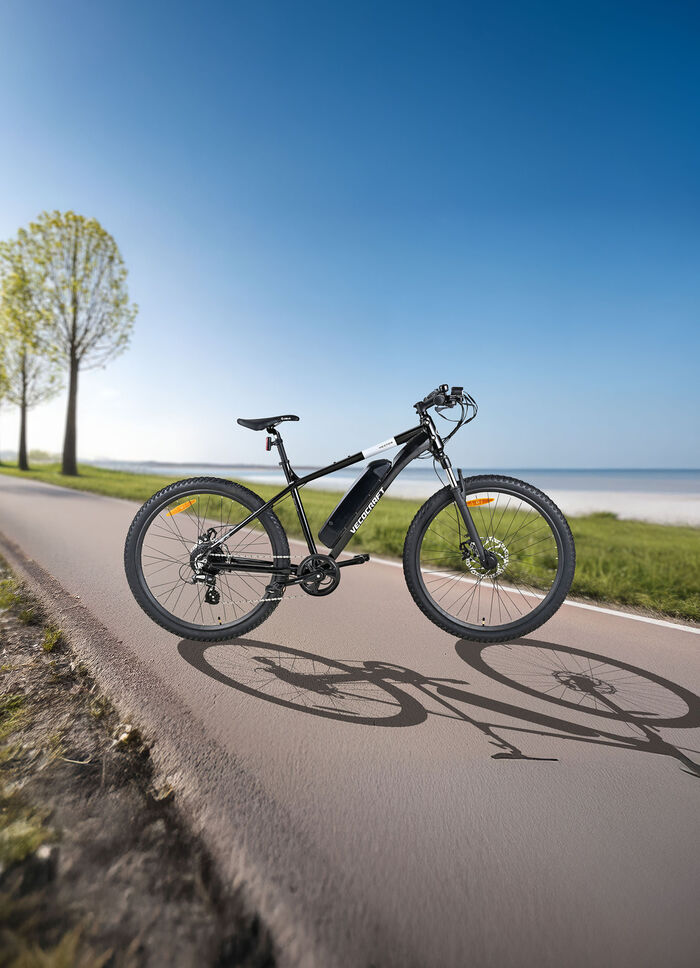 E-Mountainbike von Veccocraft 