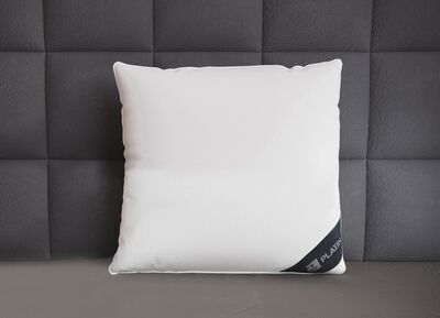 Daunenkissen Platin von Spessarttraum 