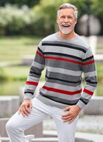 Modischer Rundhalspullover in 2 Farben 