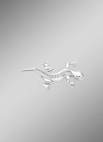 Salamander-Anstecknadel aus Silber 