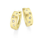 Hinreißendes Paar Creolen 