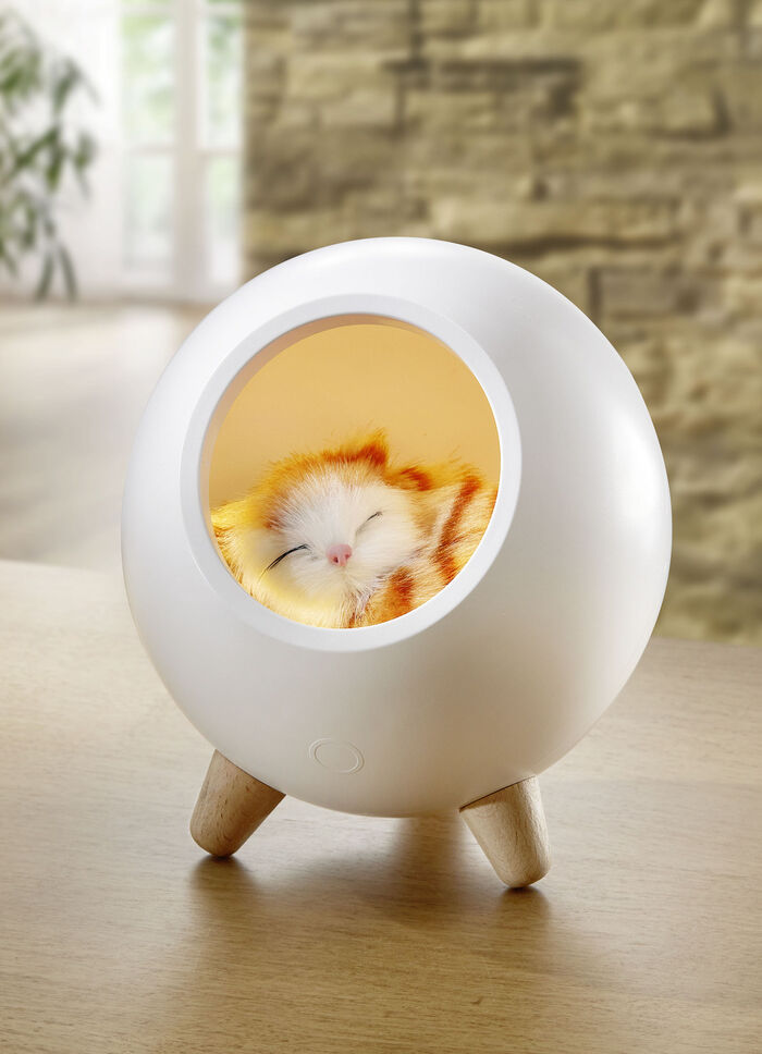 Tischleuchte mit integriertem Akku 