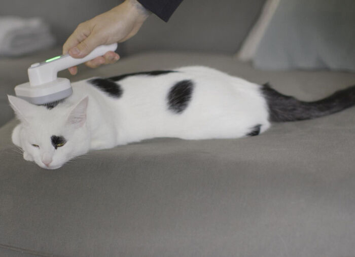 "PiddiPet IonBrush" Tierhaarbürste  