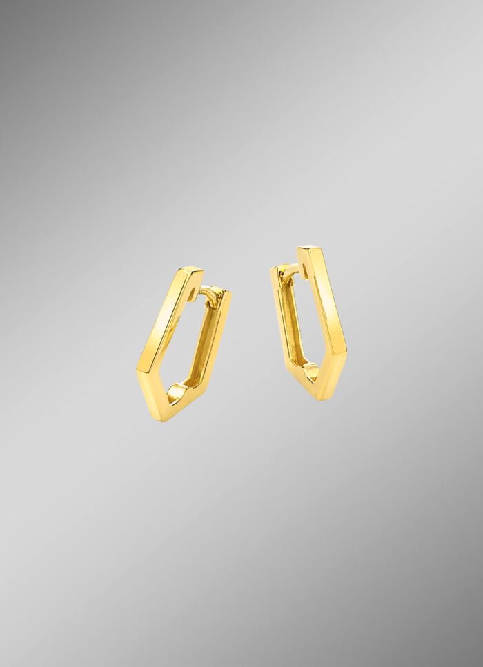 Gl&auml;nzende Klappcreolen 