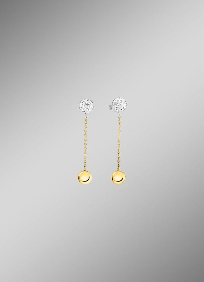 Wundersch&ouml;ne Ohrstecker in Bicolor 