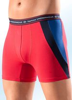 Viererpack Pants, uni mit Kontrasteins&auml;tzen 