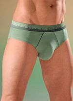 Dreierpack Slips mit Elastikbund 