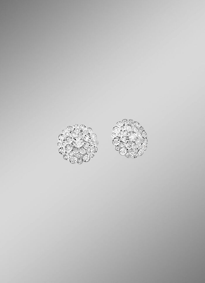 Exquisite Ohrstecker 