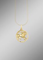 Sternzeichen-Anh&auml;nger in Silber 925/- fein 