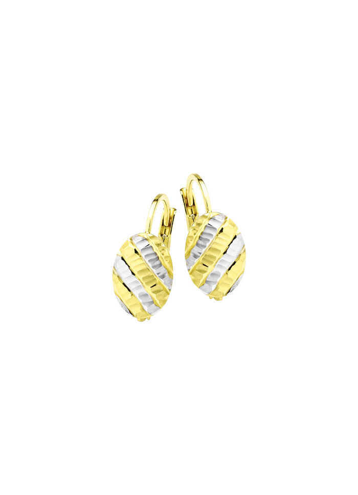 Eleganz in jedem Detail: Bicolor-Ohrringe aus Gold 375/- fein 