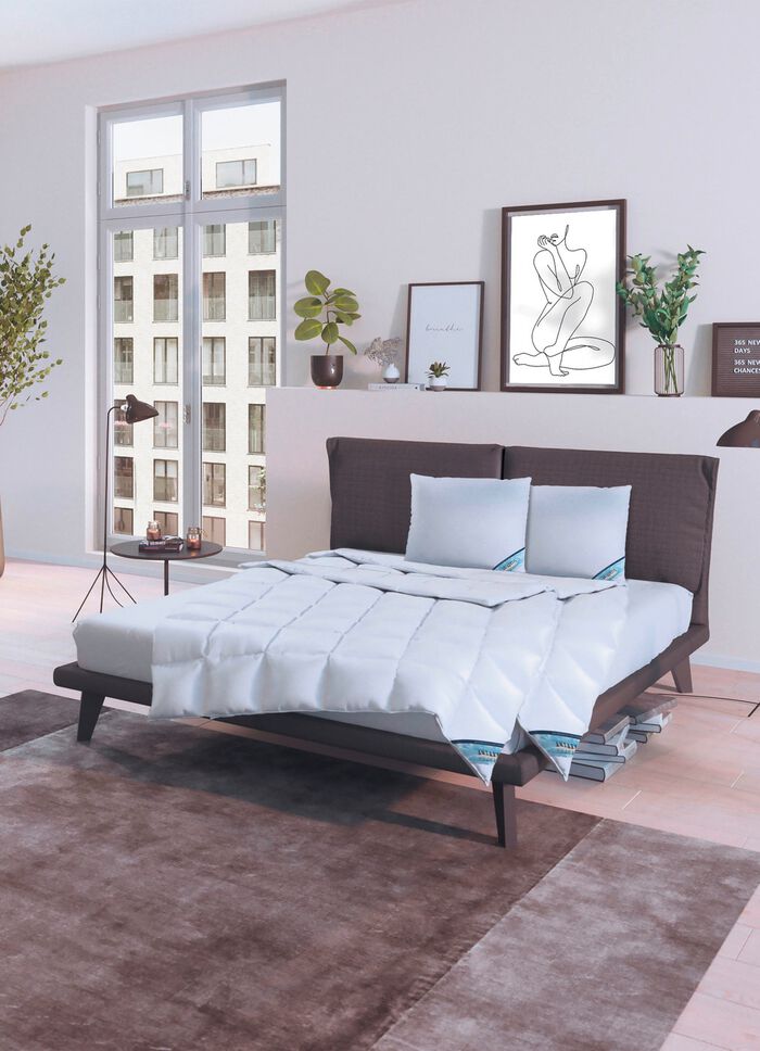 Daunenprogramm Antarktis von Spessarttraum 