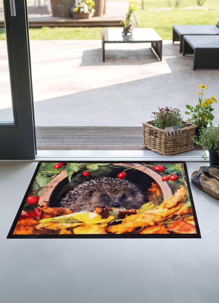 Fu&szlig;matte mit Igel-Motiv BUNT