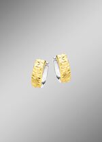 Bicolor-Klappcreolen 