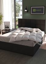 Hochwertiges Wildentendaunen-Bettwarenprogramm von Spessarttraum &ndash; Beste Qualit&auml;t f&uuml;r erholsamen Schlaf 