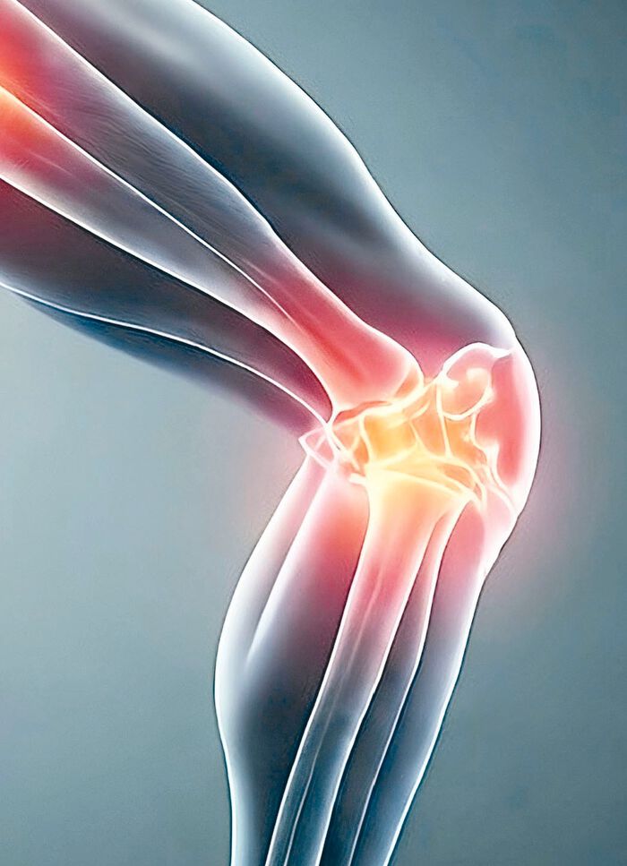 Knie- und Kn&ouml;chelbandage 