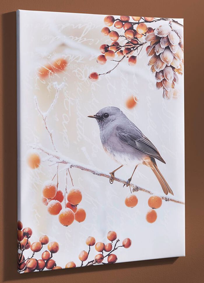 Bild Vogel des Jahres 2025 Hausrotschwanz auf Leinwand BUNT