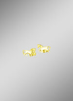 Pferde-Ohrstecker aus Gold 