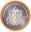 BADERde_DE1Logo_PatentierteOctaspringTechno BADERde_DE1Logo_PatentierteOctaspringTechno