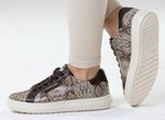 Peter Kaiser, modische Damen-Sneaker, mit herausnehmbarem Fu&szlig;bett TAUPE-MOKKA