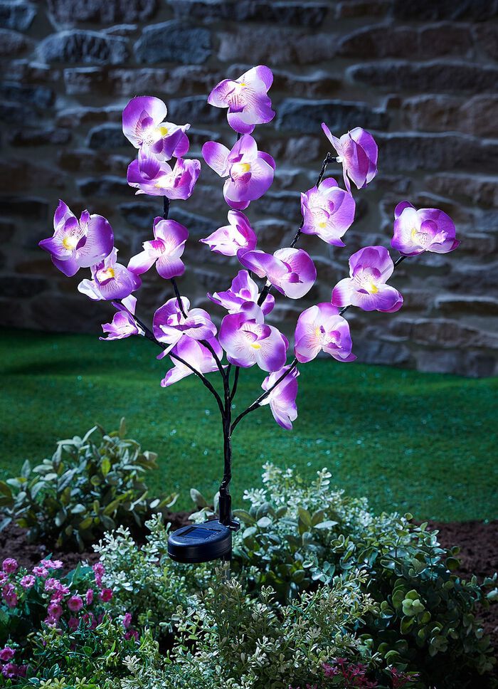 T&auml;uschend echte Solar-Orchidee 