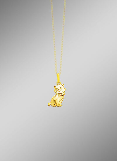 Anh&auml;nger mit Katze 