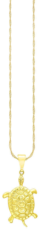 Toller Schildkröten Anhänger 