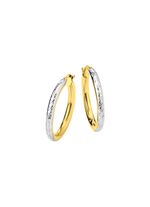 Wundersch&ouml;nen Creolen 