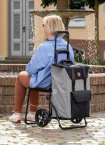 Andersen Einkaufsroller mit Sitzm&ouml;glichkeit GRAU