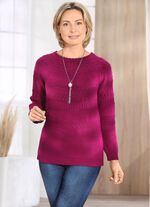 Pullover mit aufwendiger Rundpasse 