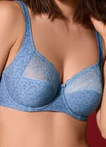 Format B&uuml;gel BH 