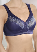 BH mit farbharmonischen Spitzeneinsätzen 