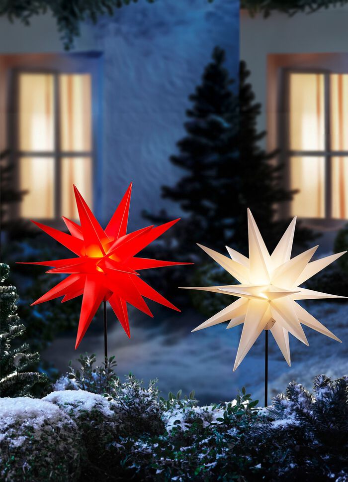 Weihnachtsstern mit Erdspie&szlig; 