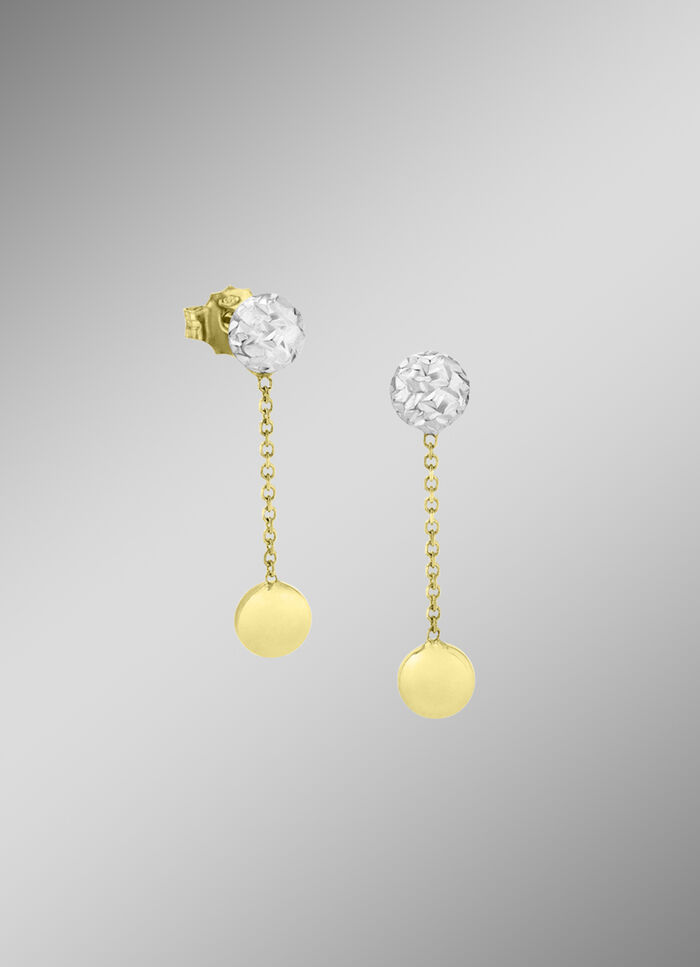 Bezaubernde Ohrstecker in Bicolor 