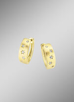 Hinreißendes Paar Creolen 