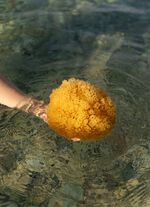 Badeschwamm aus nat&uuml;rlichem Material 