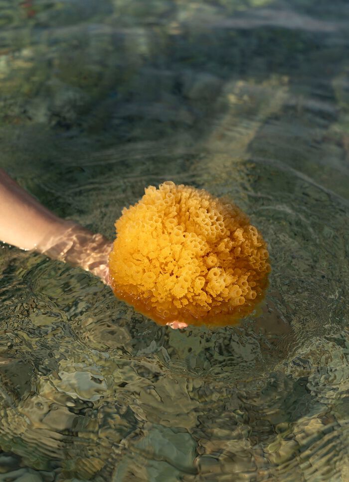 Badeschwamm aus nat&uuml;rlichem Material 