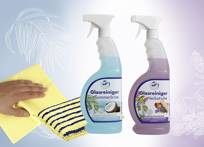 Glasreiniger-Set 