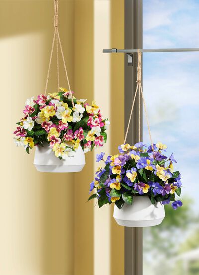 Stiefmütterchen in Hängeampel 