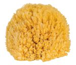 Badeschwamm aus nat&uuml;rlichem Material 