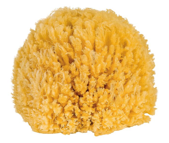 Badeschwamm aus nat&uuml;rlichem Material 