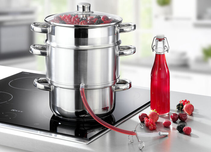 Dampf-Entsafter mit Glasdeckel 